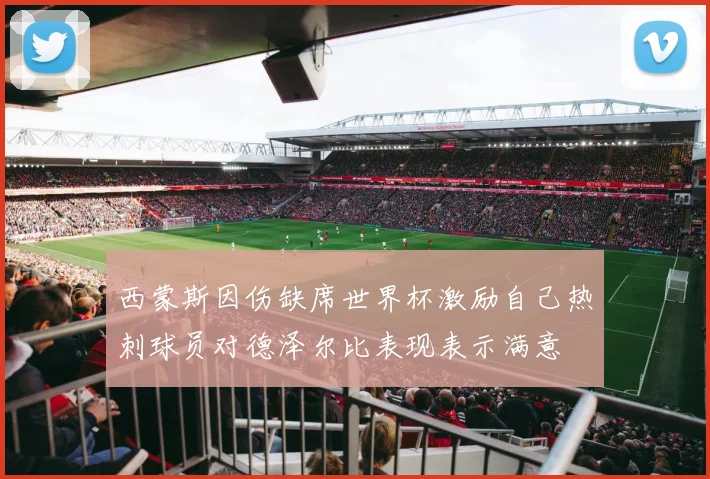 西蒙斯因伤缺席世界杯激励自己热刺球员对德泽尔比表现表示满意