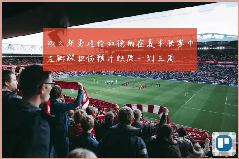 热火新秀迈伦加德纳在夏季联赛中左脚踝扭伤预计缺席一到三周