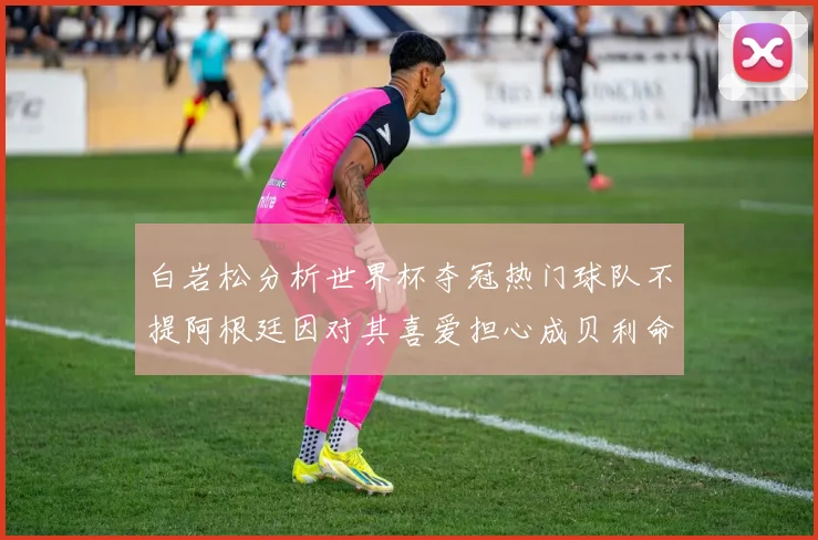 白岩松分析世界杯夺冠热门球队不提阿根廷因对其喜爱担心成贝利命运