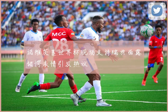 诺维茨基世界杯现场支持瑞典面露错愕表情引发热议